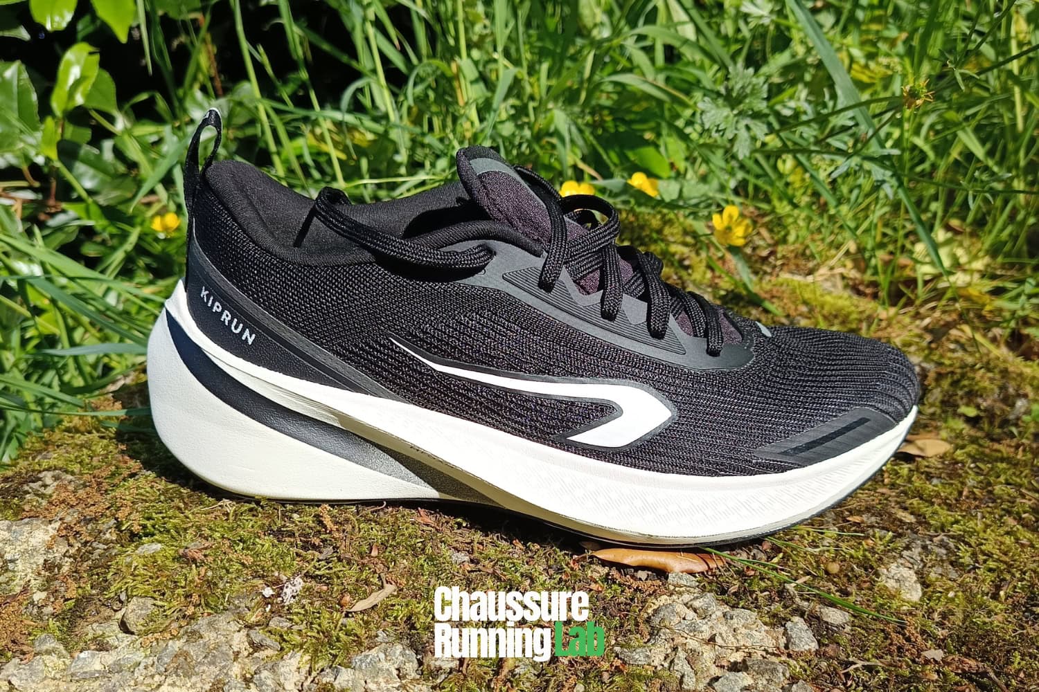 Kiprun Cushion 500 test