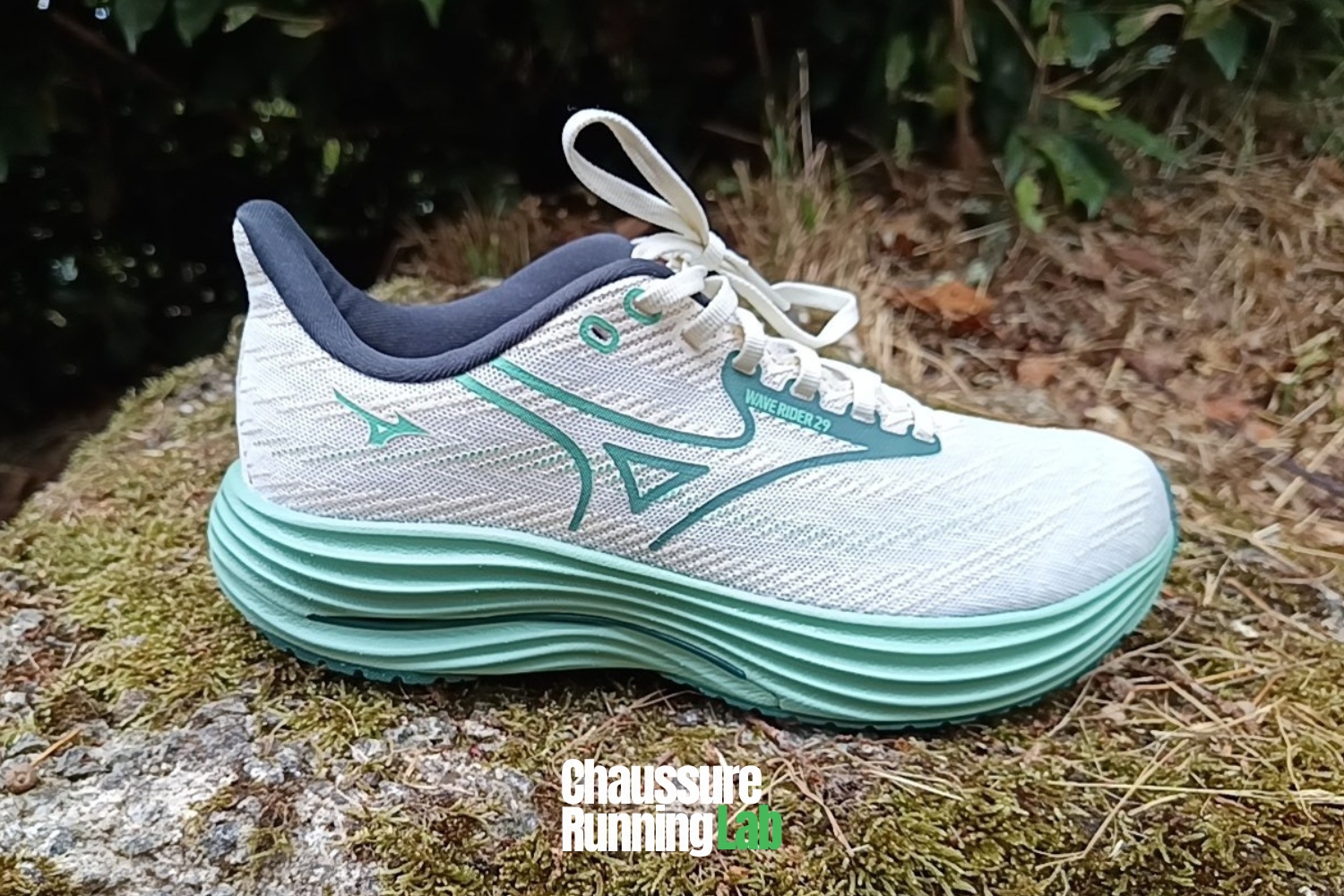 Mizuno Wave Rider 29 test