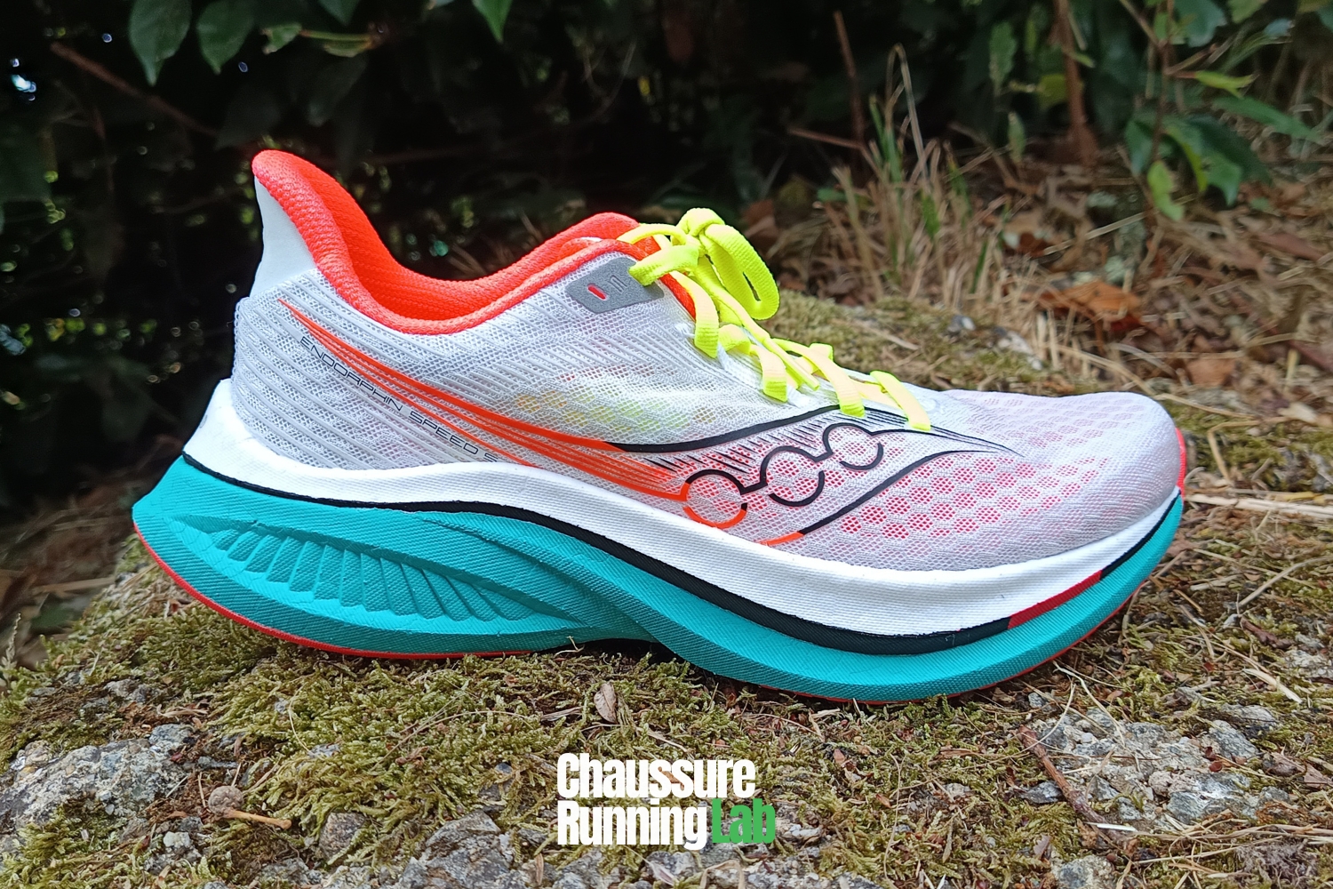 Saucony Endorphin Speed 5 test